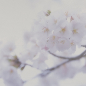 伸进她的小内裤疯狂揉摸的照片
